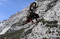 ROB_2427 (Copy)